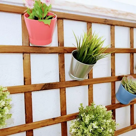 דירה Alpaca@the *